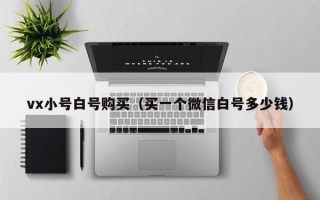 vx小号白号购买（买一个微信白号多少钱）