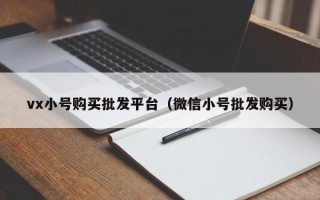 vx小号购买批发平台（微信小号批发购买）