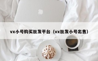 vx小号购买批发平台（vx批发小号出售）