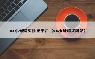 vx小号购买批发平台（vx小号购买网站）