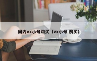 国内vx小号购买（vx小号 购买）