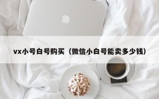 vx小号白号购买（微信小白号能卖多少钱）