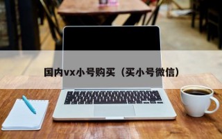 国内vx小号购买（买小号微信）