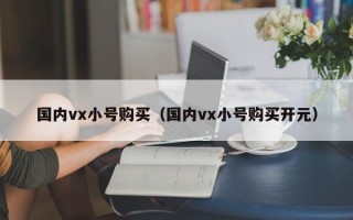 国内vx小号购买（国内vx小号购买开元）