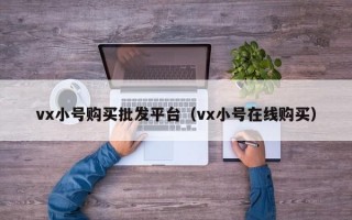 vx小号购买批发平台（vx小号在线购买）