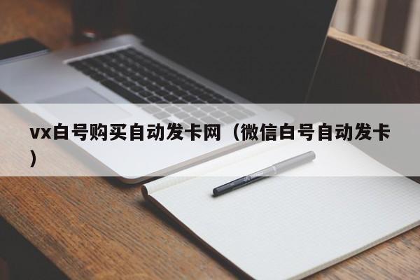 vx白号购买自动发卡网（微信白号自动发卡）-第1张图片-marine老号网