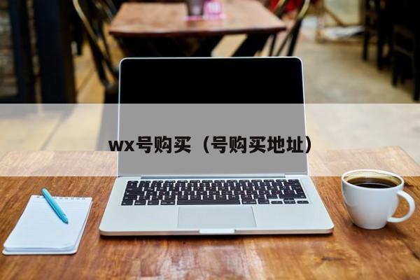 wx号购买（号购买地址）-第1张图片-marine老号网