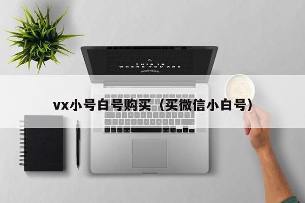 vx小号白号购买（买微信小白号）-第1张图片-marine老号网