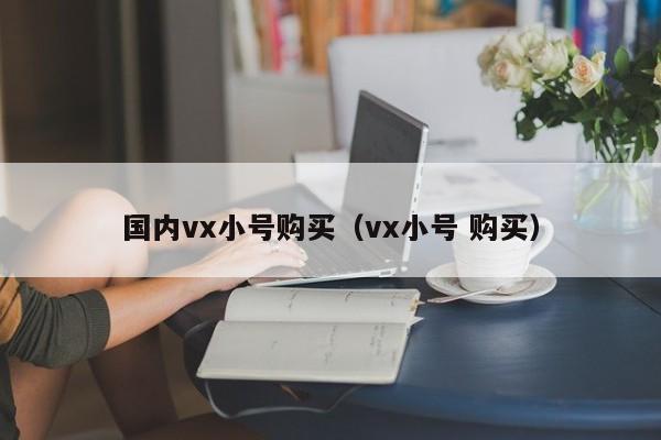 国内vx小号购买（vx小号 购买）-第1张图片-marine老号网