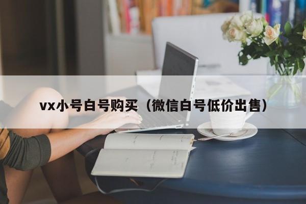 vx小号白号购买（微信白号低价出售）-第1张图片-marine老号网