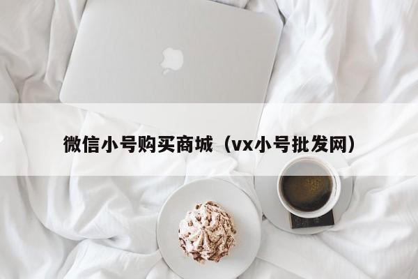 微信小号购买商城（vx小号批发网）-第1张图片-marine老号网