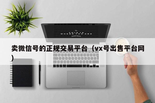 卖微信号的正规交易平台（vx号出售平台网）-第1张图片-marine老号网