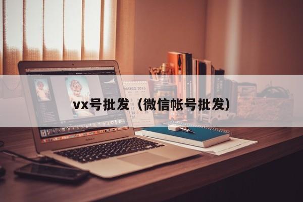 vx号批发（微信帐号批发）-第1张图片-marine老号网