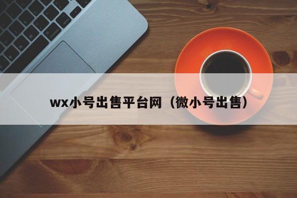 wx小号出售平台网（微小号出售）-第1张图片-marine老号网