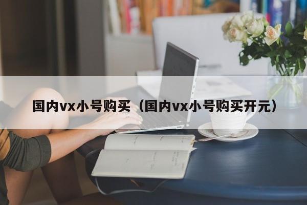 国内vx小号购买（国内vx小号购买开元）-第1张图片-marine老号网