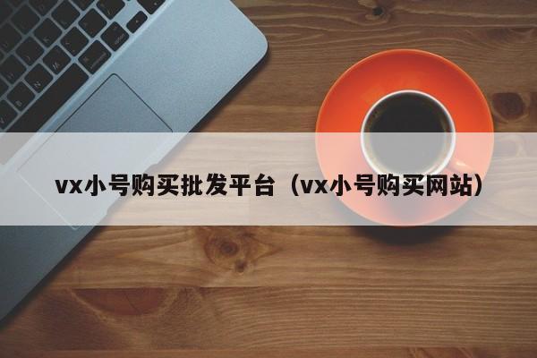 vx小号购买批发平台（vx小号购买网站）-第1张图片-marine老号网