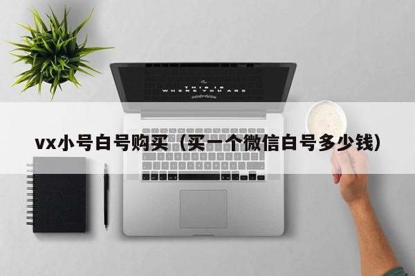 vx小号白号购买（买一个微信白号多少钱）-第1张图片-marine老号网