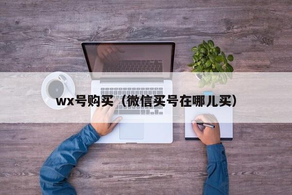 wx号购买（微信买号在哪儿买）-第1张图片-marine老号网