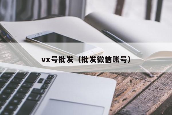 vx号批发（批发微信账号）-第1张图片-marine老号网