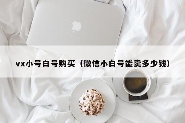 vx小号白号购买（微信小白号能卖多少钱）-第1张图片-marine老号网