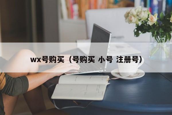 wx号购买（号购买 小号 注册号）-第1张图片-marine老号网