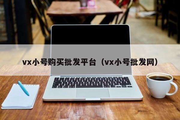 vx小号购买批发平台（vx小号批发网）-第1张图片-marine老号网