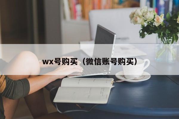 wx号购买（微信账号购买）-第1张图片-marine老号网