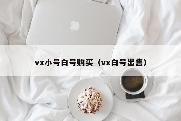 vx小号白号购买（vx白号出售）-第1张图片-marine老号网