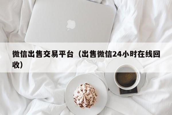 微信出售交易平台（出售微信24小时在线回收）-第1张图片-marine老号网