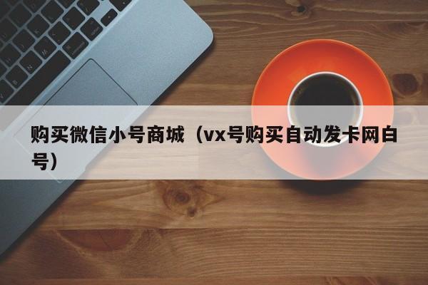 购买微信小号商城（vx号购买自动发卡网白号）-第1张图片-marine老号网