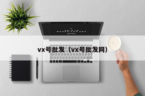 vx号批发（vx号批发网）-第1张图片-marine老号网