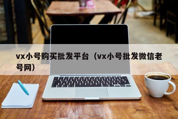 vx小号购买批发平台（vx小号批发微信老号网）-第1张图片-marine老号网