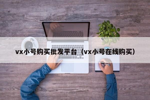 vx小号购买批发平台（vx小号在线购买）-第1张图片-marine老号网