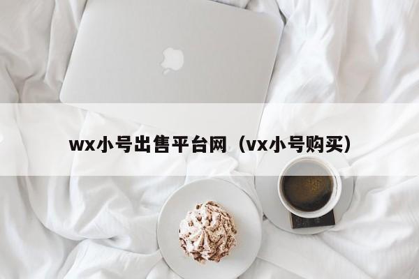 wx小号出售平台网（vx小号购买）-第1张图片-marine老号网