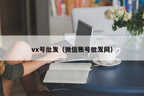 vx号批发（微信账号批发网）-第1张图片-marine老号网