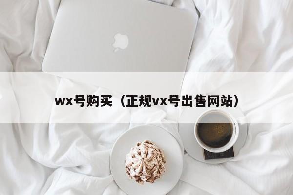 wx号购买（正规vx号出售网站）-第1张图片-marine老号网