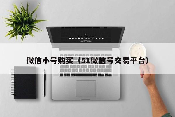 微信小号购买（51微信号交易平台）-第1张图片-marine老号网