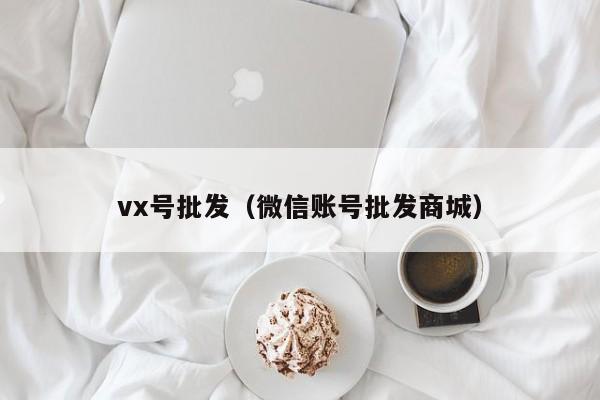 vx号批发（微信账号批发商城）-第1张图片-marine老号网