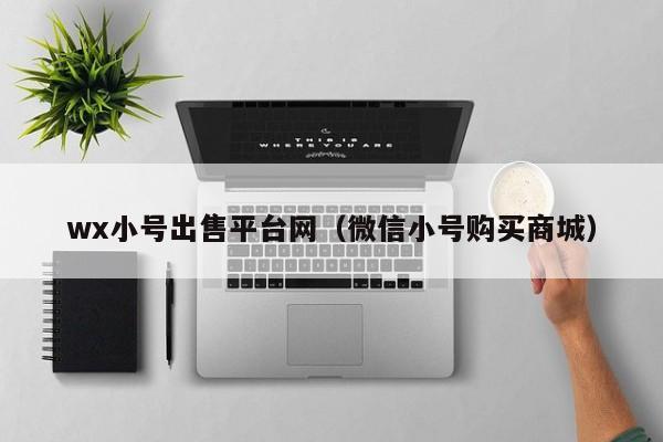 wx小号出售平台网（微信小号购买商城）-第1张图片-marine老号网