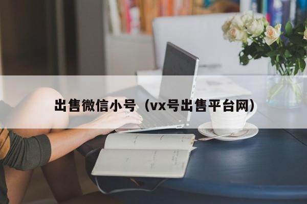 出售微信小号（vx号出售平台网）-第1张图片-marine老号网